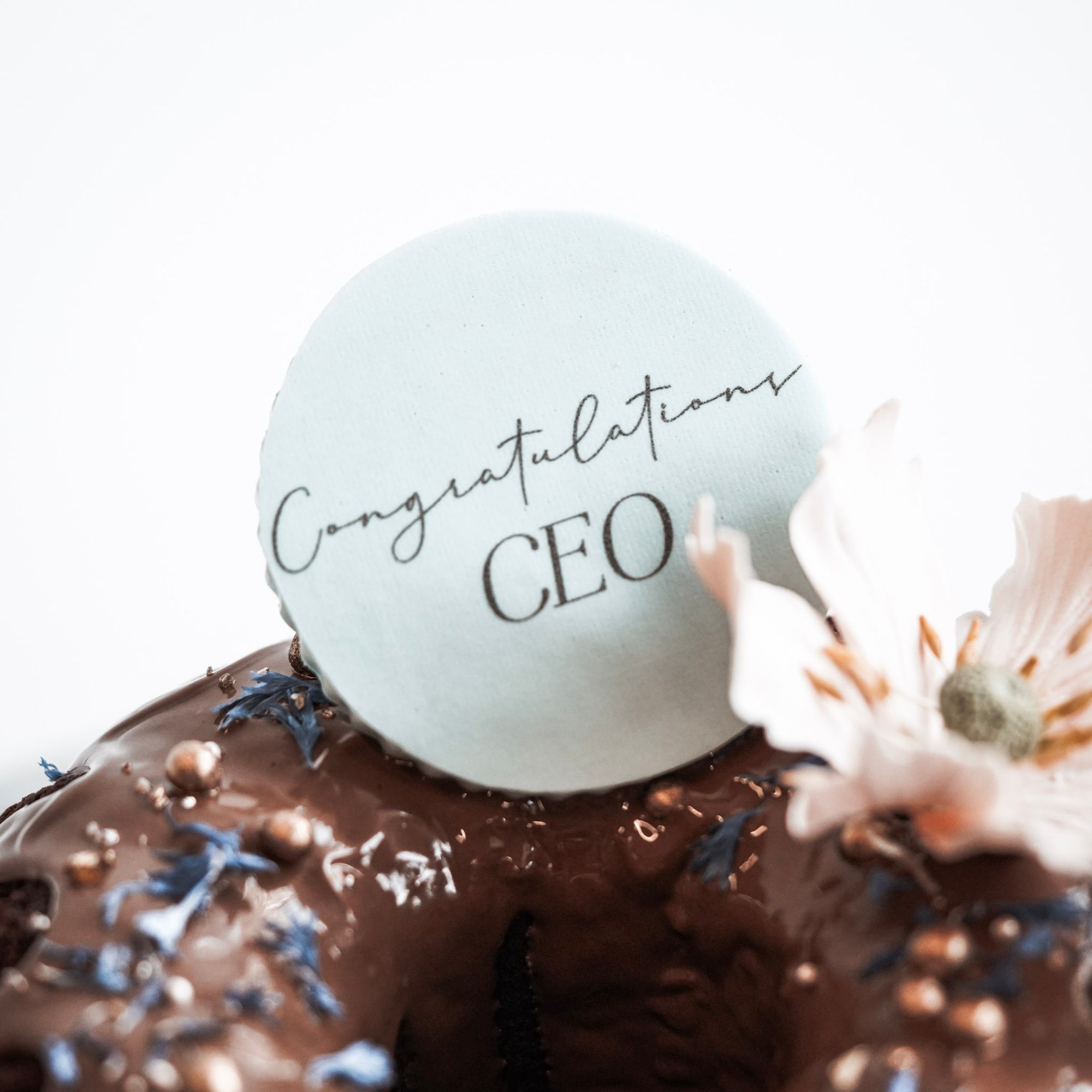 Bundt | Chocolate with Hazelnut Sauce