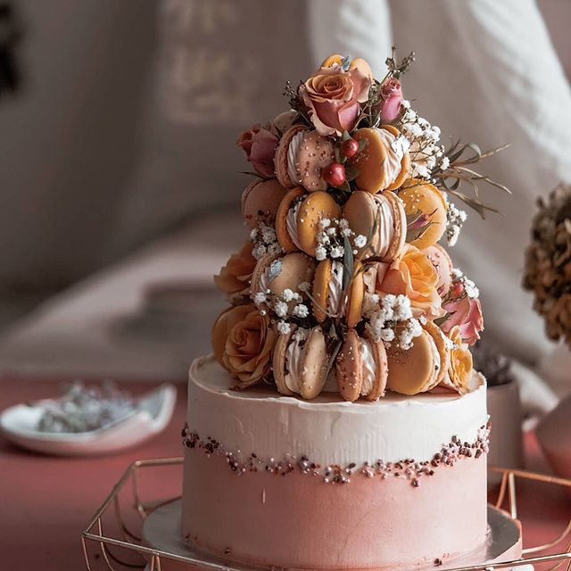 Tree Cake | Macaron