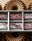 Praline Petite Box | 5 Sets