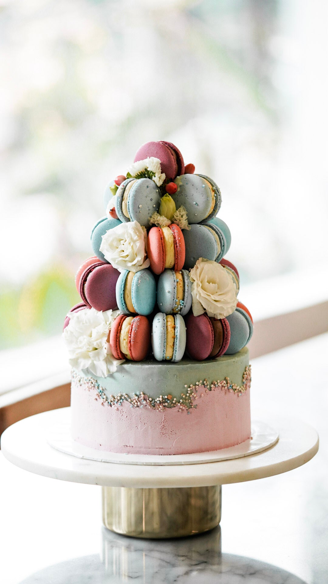 Tree Cake | Macaron