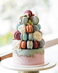 Tree Cake | Macaron