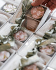 Avery Box | Mixte Ivy